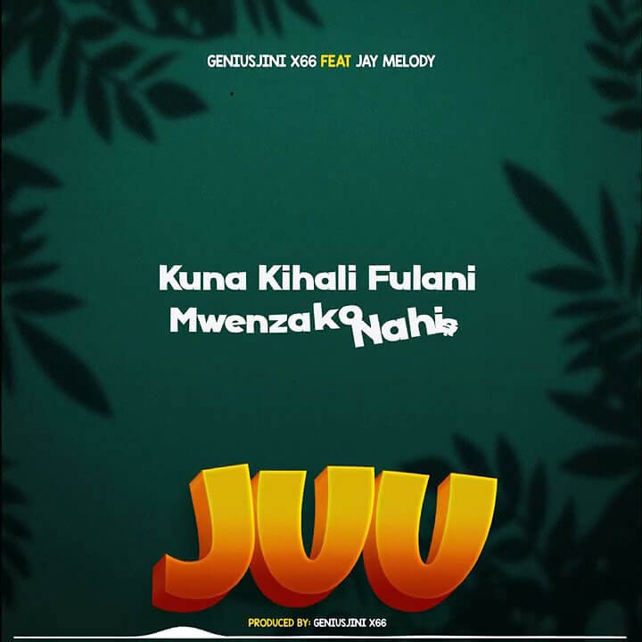 Geniusjini x66 ft Jay Melody - Juu Mp3 Download