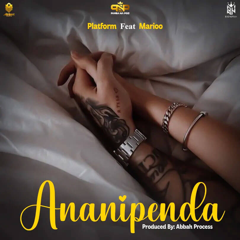 Platform ft Marioo - Ananipenda Mp3 Download